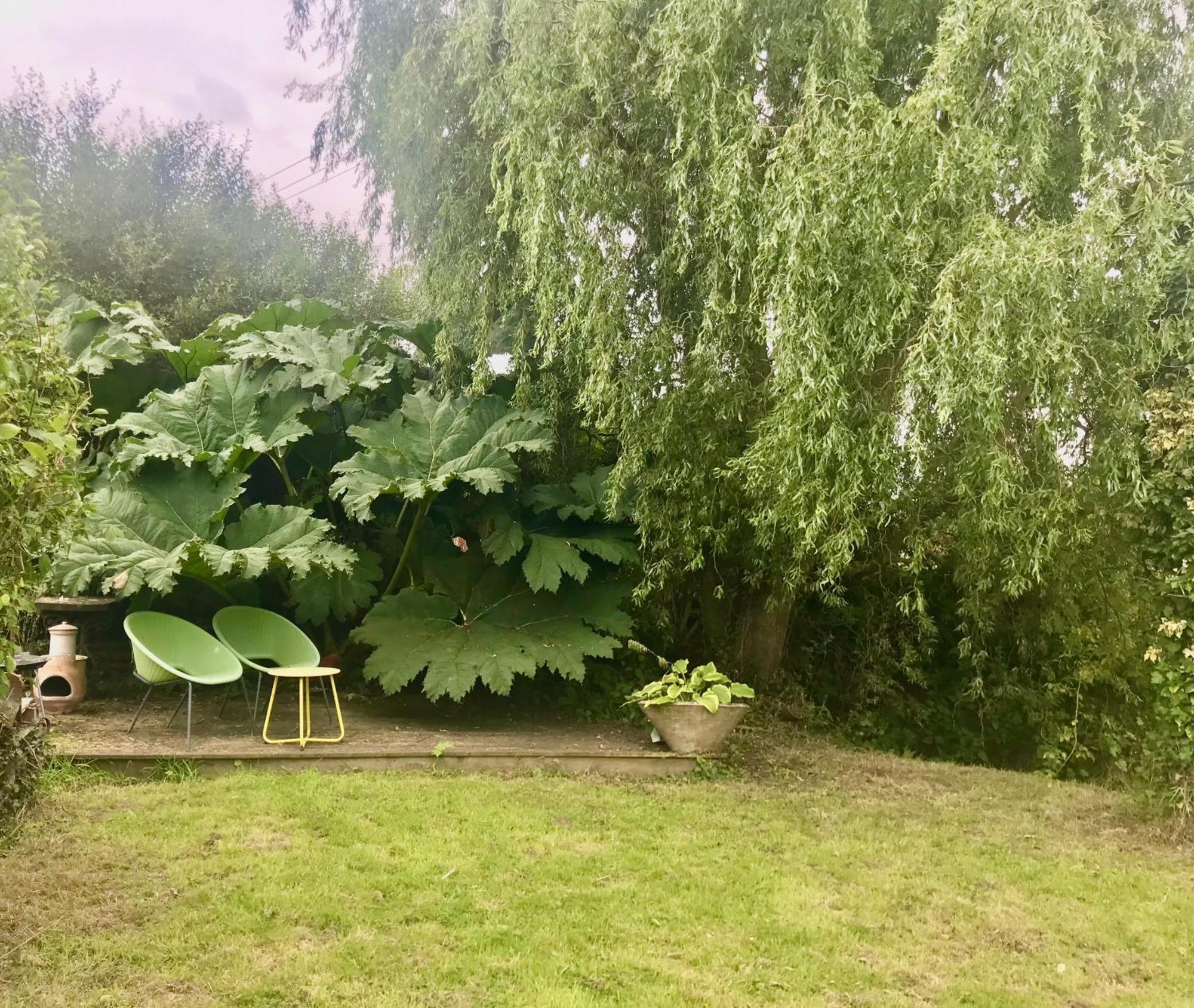 אקסטר Rural Devon Retreat In Stunning Exe Valley. מראה חיצוני תמונה